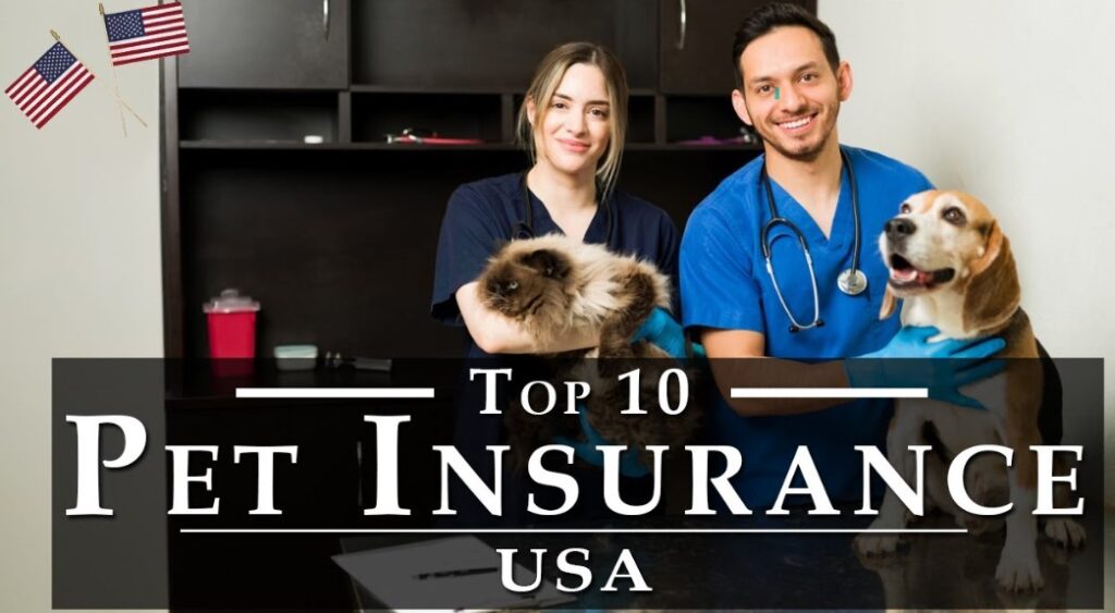 best pet insurance for dogs that covers everything